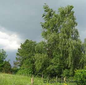 Urlaub im Westerwald