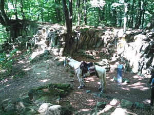 Ruhepause beim Wanderreiten