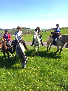 Wanderreiten im herrlichen Westerwald Wanderreiten im herrlichen Westerwald